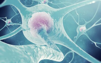 Your Metabolism Isn’t Broken—It’s Stressed