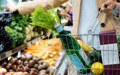 The Metabolic Regulation Grocery List: 20 Foods That Support Blood Sugar and Nervous System Health